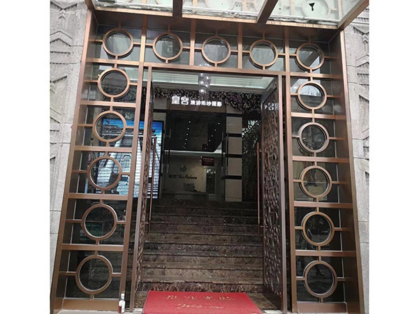 不锈钢地弹簧门